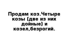 Продам коз.Четыре козы (две из них дойные) и козел,безрогий.